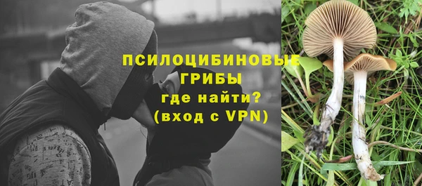 экстази Алексеевка