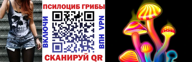 Галлюциногенные грибы ЛСД  Купить  Юрга 